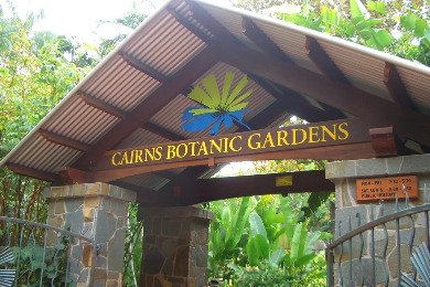 【午前】ケアンズお手軽半日観光