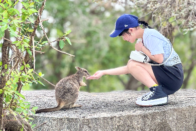 【日本語ガイド】野生動物探しツアー♪キュランダ鉄道追加可能プラン