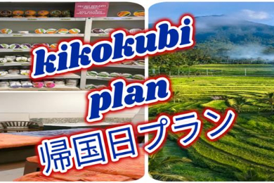 【帰国日プラン】　観光＋買い物＋スパ　空港送迎　バリ得プラン