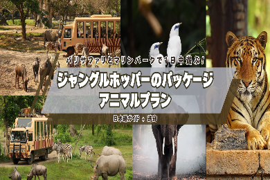 【アニマルプラン】サファリパークと遊園地。バリ サファリ & マリン パークで1日中遊ぶ！ジャングルホッパー　パッケージ