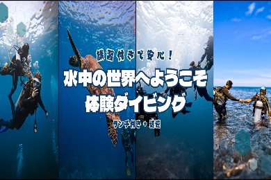 【体験ダイビング】 水中の世界へようこそ  講習付きで安心