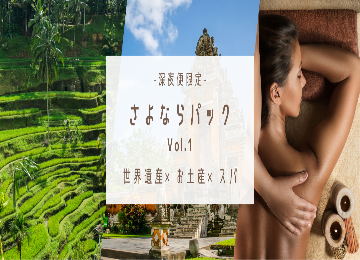 【サヨナラパック午前/午後選択可能プラン】 
STW申し込みのお客様限定プラン有！
-深夜便限定-世界遺産観光付きも選べる！