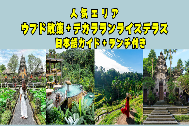 【日本語ガイド】ウブド村散策と棚田ランチ