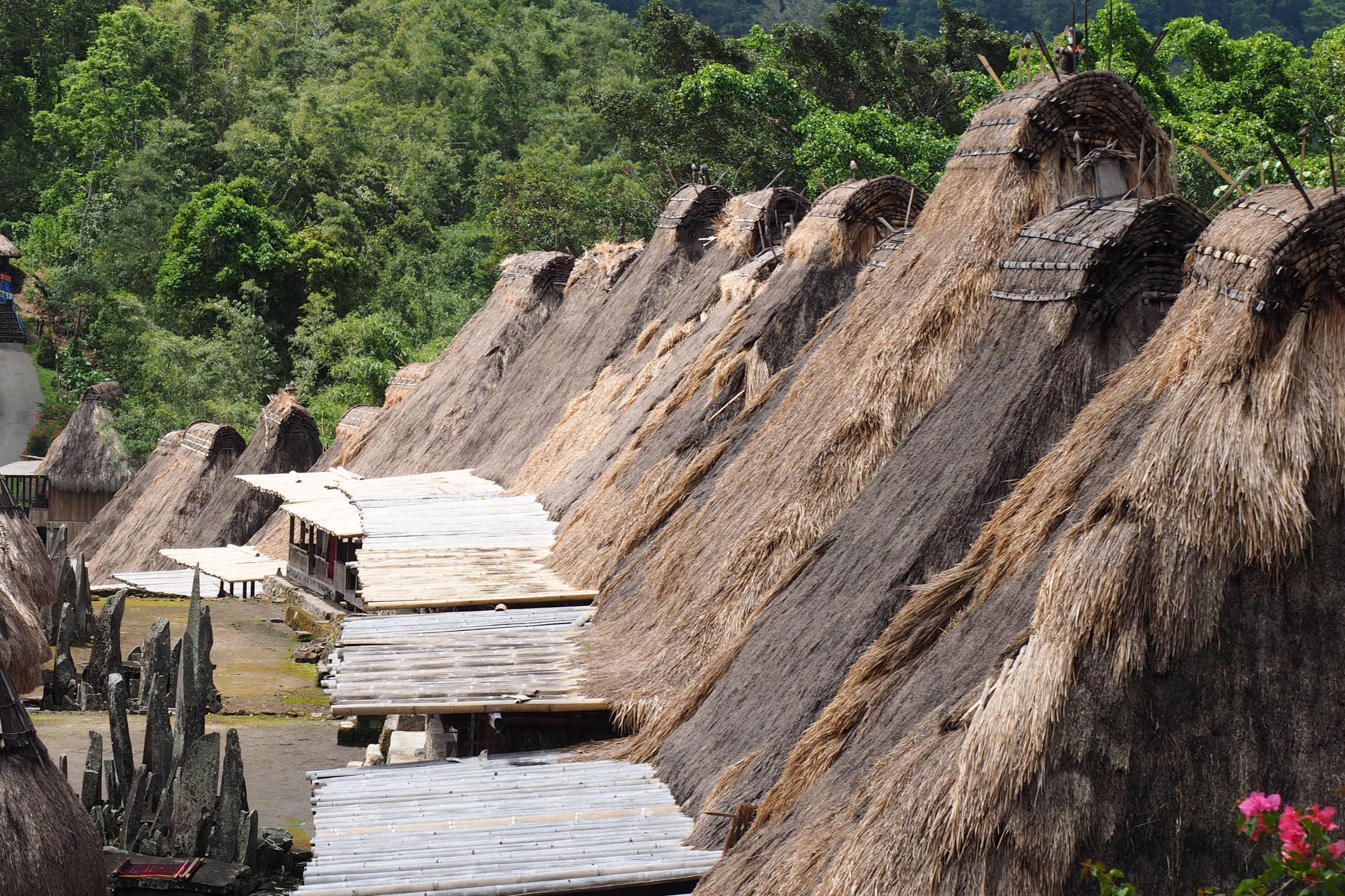 【日本語ガイド】【1泊2日】温泉にコーヒー農園、ベナ村まで！
フローレス島のありのままを詰め込んだ～バジャワツアー～