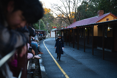 【日本語ガイド】MR.JOHNのパッフィングビリー蒸気機関車と ダンデノン丘陵ツアー