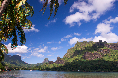 【半日】【モーレア島発】ベルベデールツアー&4WDマウンテンサファリ