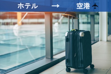 【空港送迎】ウィーン市内ホテル→ウィーン国際空港
（現地語ドライバー/専用車）